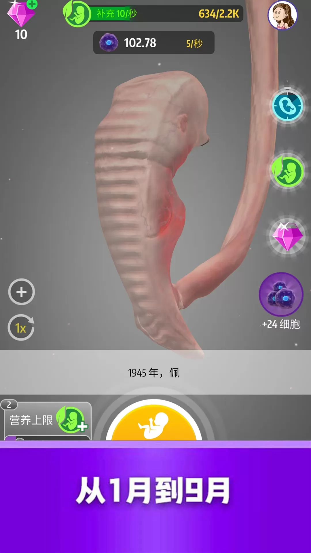 生物进化下载旧版图4