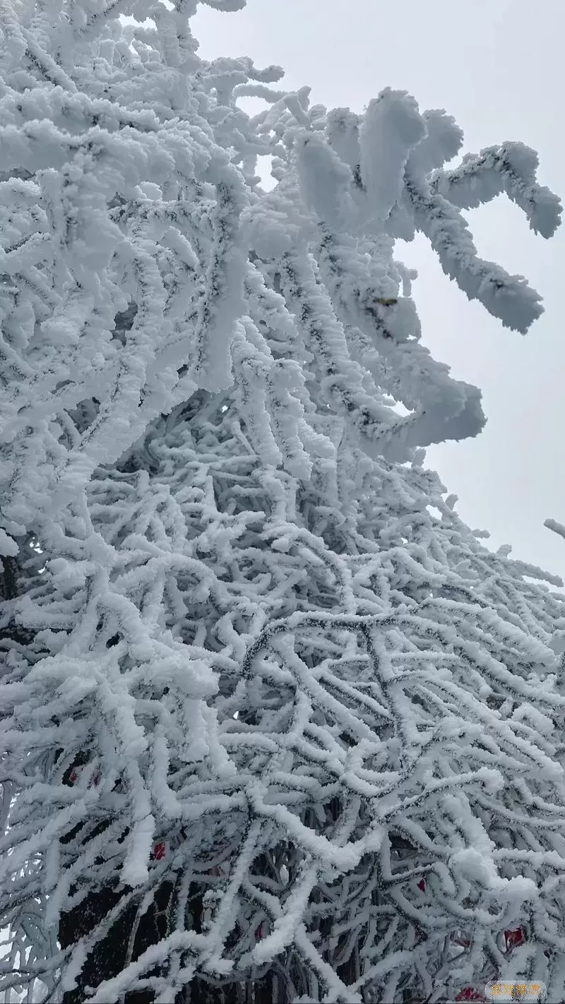 天上云林间雾什么意思