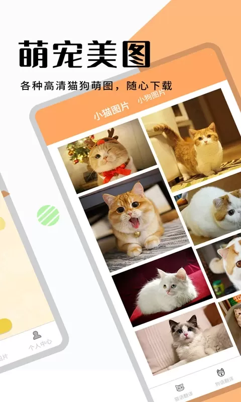 猫狗翻译器软件下载安装免费图3