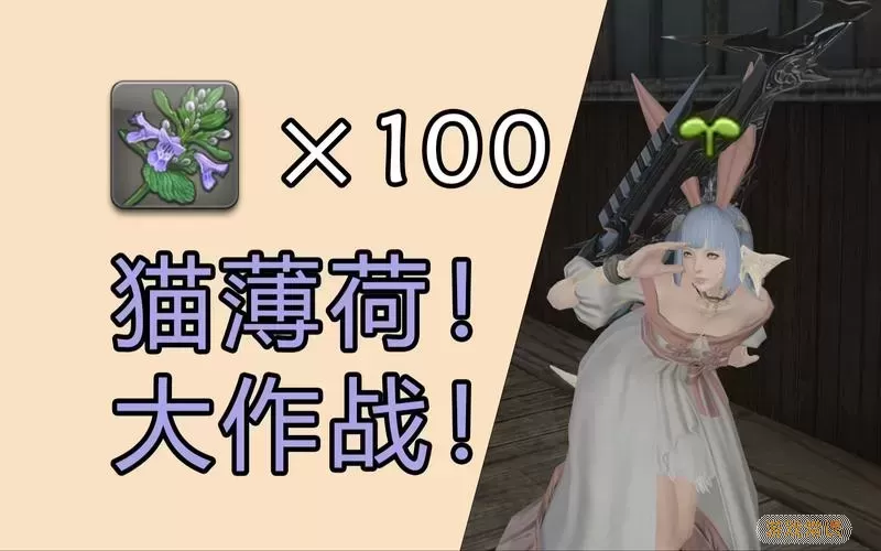 ff14威胁豆芽做主线