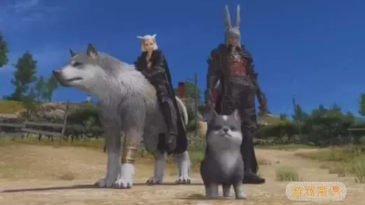 ff14乘坐双人坐骑