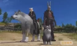 ff14乘坐双人坐骑