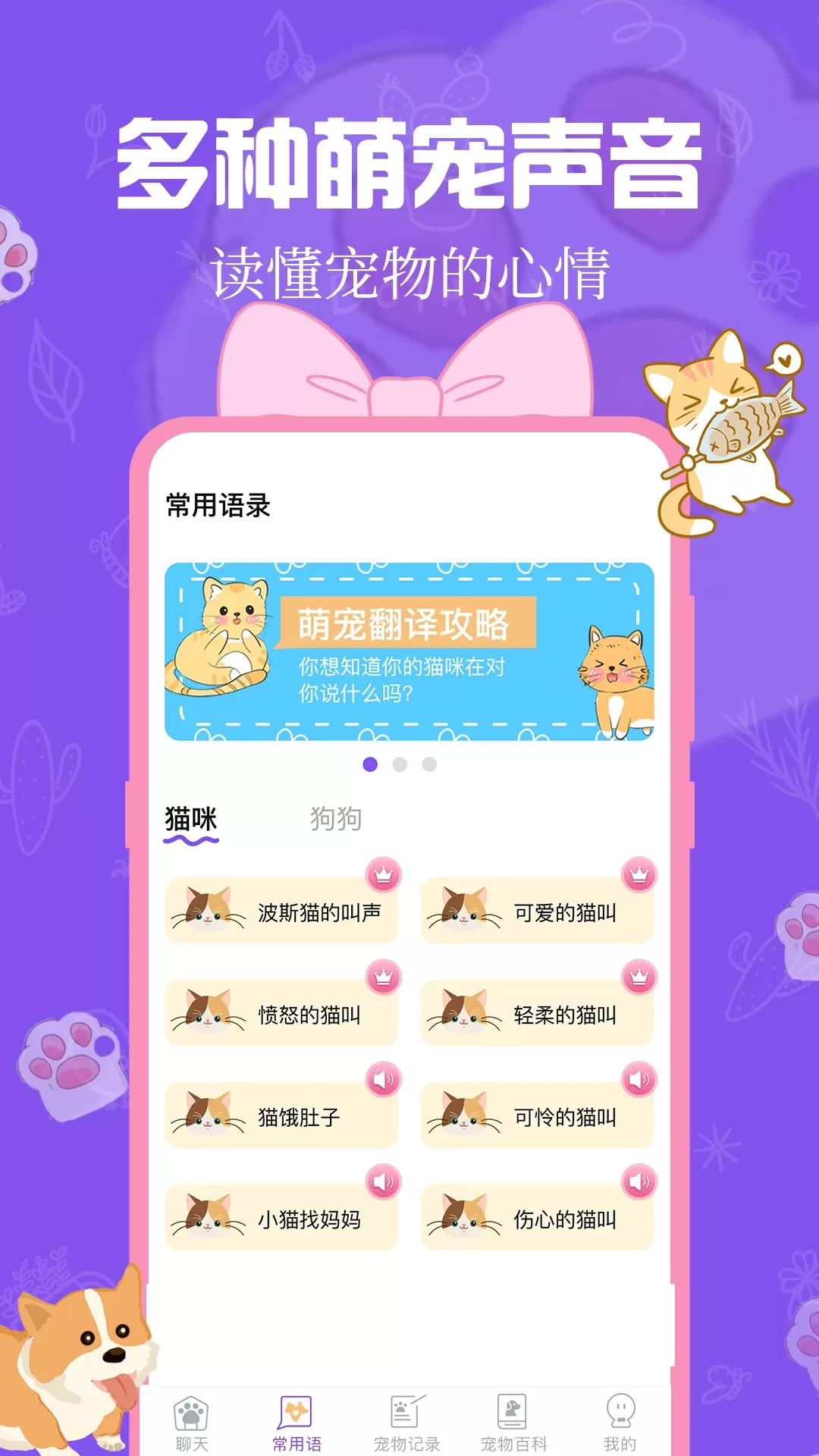 猫狗翻译器app最新版图1