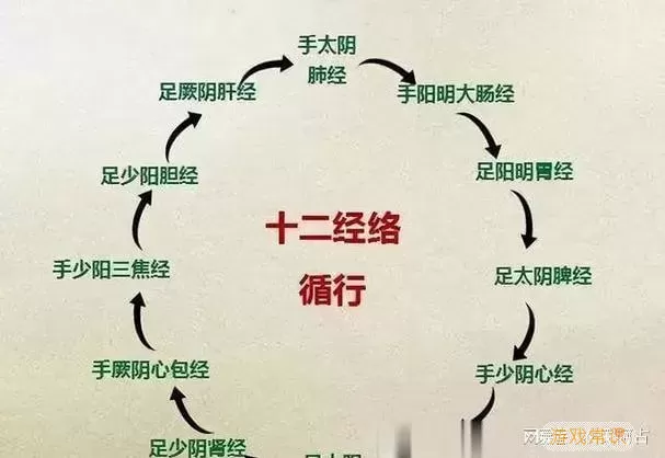 九阴真经  派开什么经脉