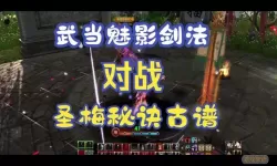 九阴真经峨眉剑法