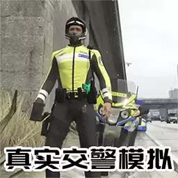 警察故事真实模拟下载免费版