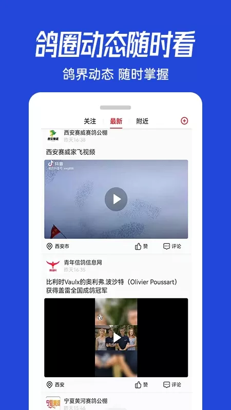 青鸽网下载免费图2