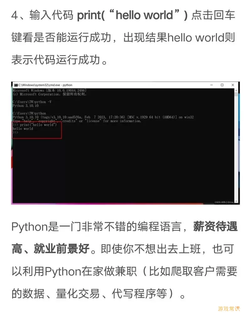 Python控制台运行示例