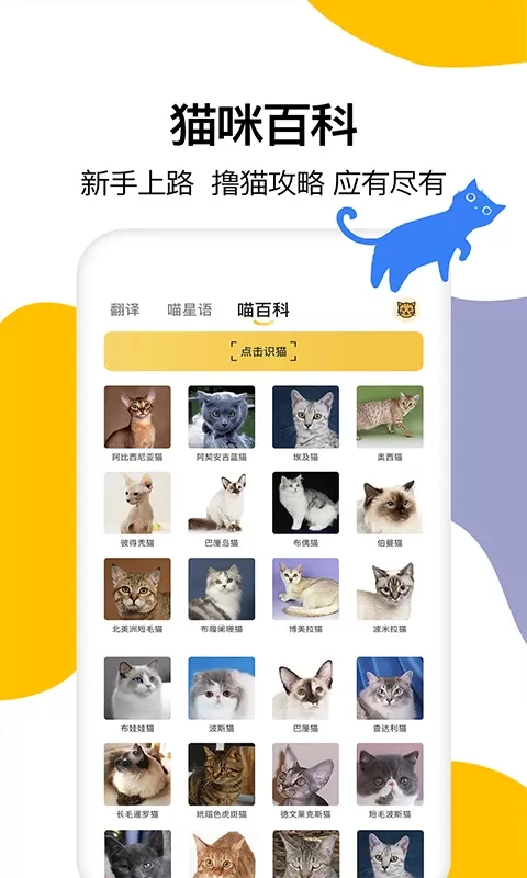 猫语翻译最新版下载图2