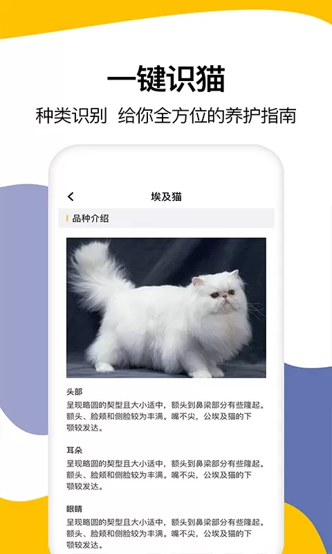 猫语翻译最新版下载图3