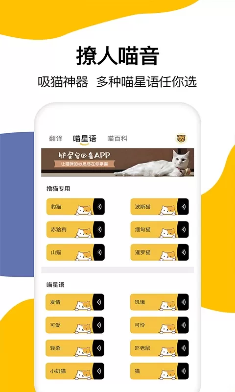 猫语翻译最新版下载图1