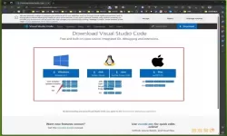 visual studio code怎么下载（visual studio code怎么下载编译器）