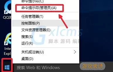 Win11搜索界面示意