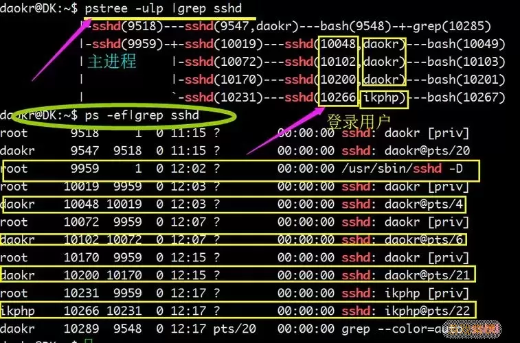 psefgrep命令示例图2