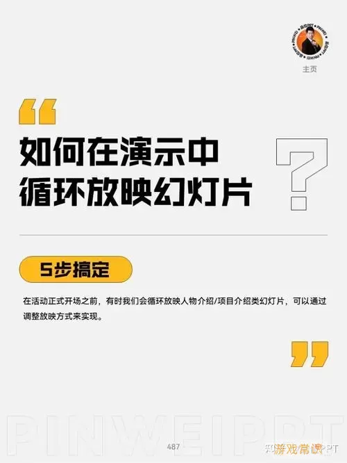 PPT设置界面图