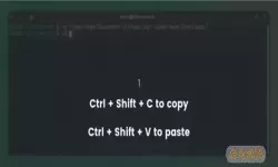 Linux系统中复制粘贴文本的方法详解