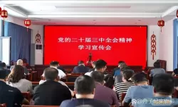 党员不积极参加组织活动的整改措施与提升策略分享