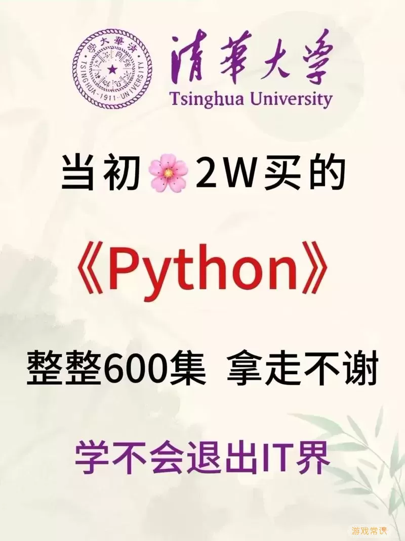 python编程从入门到（python编程从入门到精通）图2