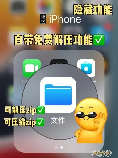 iphone打开exe文件的软件（iphone如何打开exe）图2