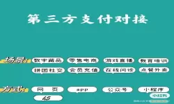 H5第三方支付接口的安全性及合法性分析与推荐