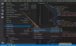 visualstudio环境设置选什么