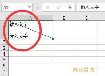 如何在Excel xlsx表格中正确输入斜杠符号的方法指南图2