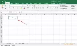 如何在Excel xlsx表格中正确输入斜杠符号的方法指南