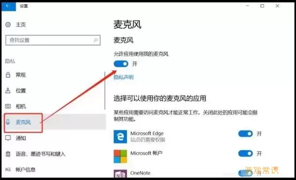 电脑插上麦克风说话没声音win10图1