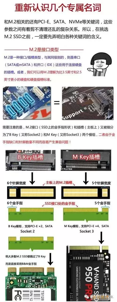 固态硬盘的类型和接口详解：全面解析不同类型的SSD接口图1