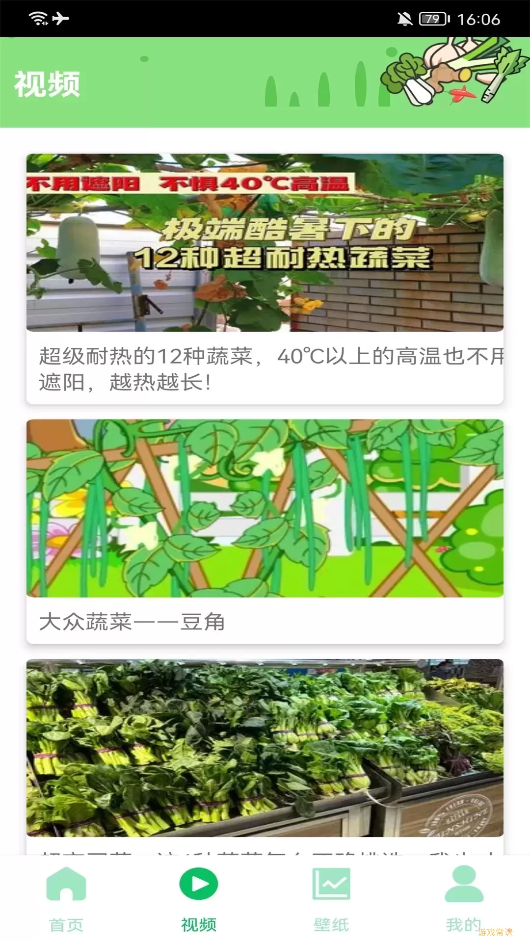 有机菜市场免费下载