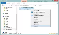电脑上怎么打开bak文件
