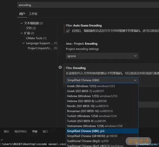 vscode终端不显示结果-vscode终端不显示运行结果图1