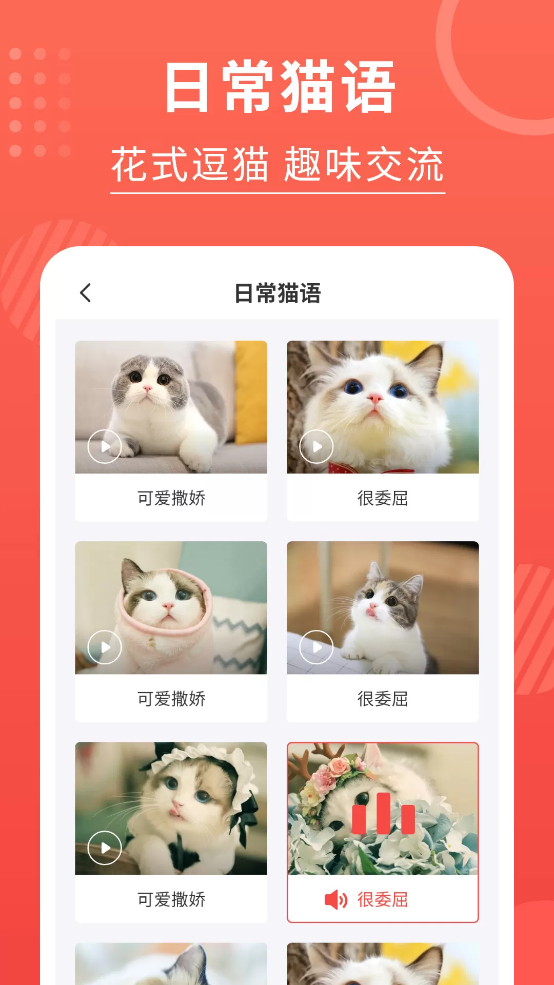 猫猫翻译器官方免费下载图3