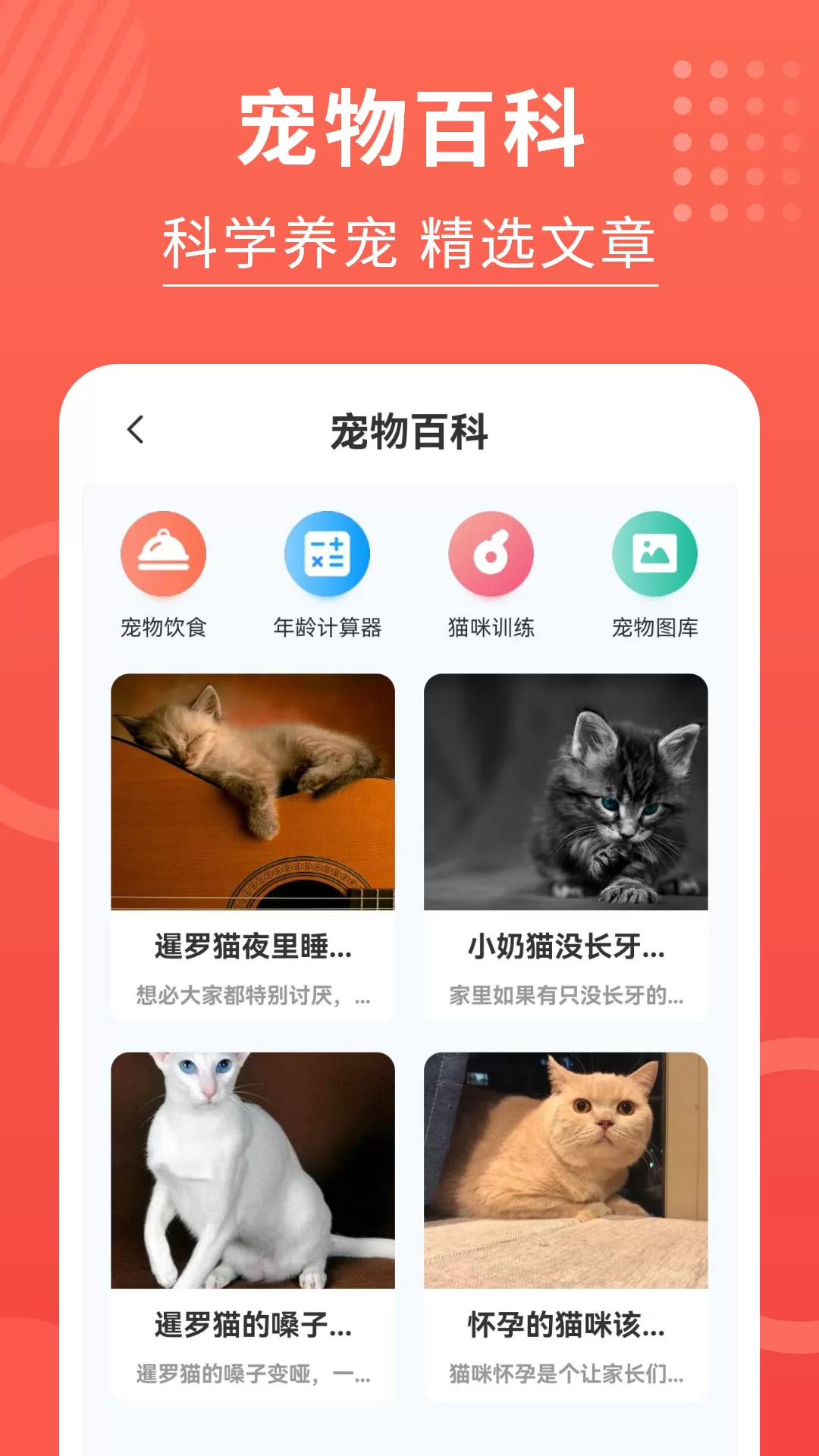 猫猫翻译器官方免费下载图1