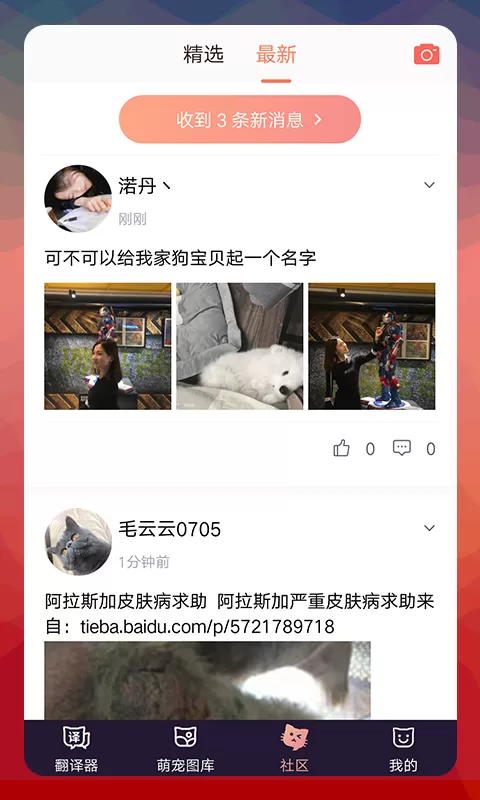 猫语翻译器2024最新版图2