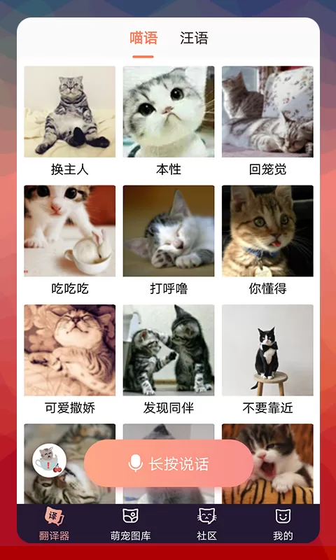 猫语翻译器2024最新版图0