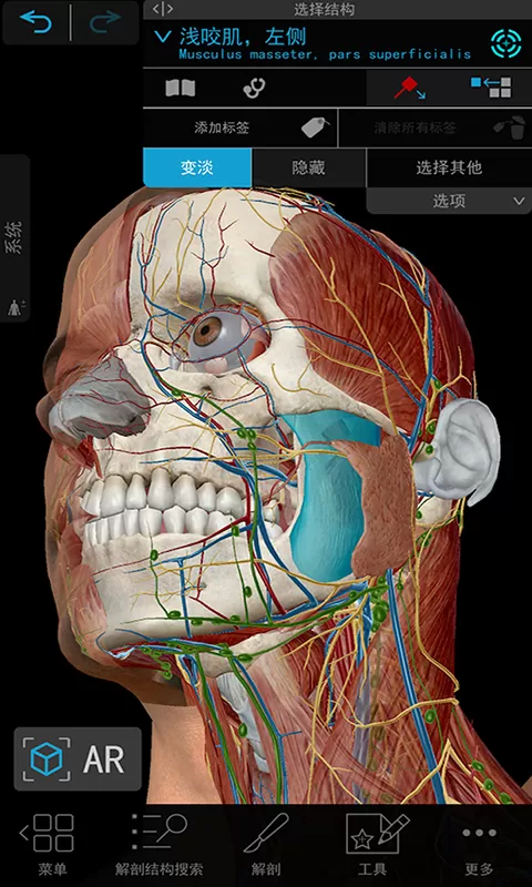 3D人体解剖下载官方版图0