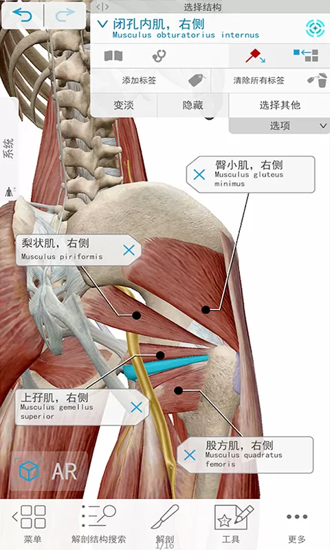 3D人体解剖下载官方版图1