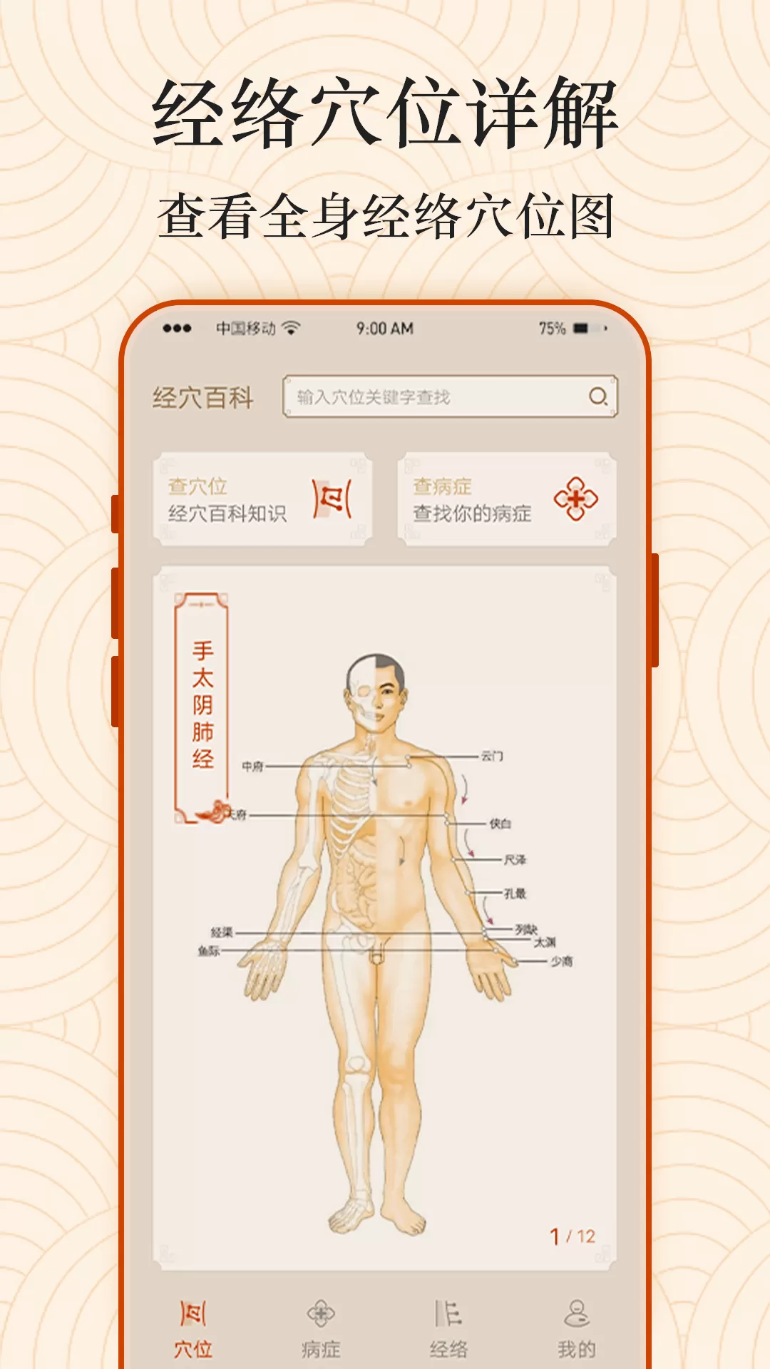 经络图解官网版旧版本图0