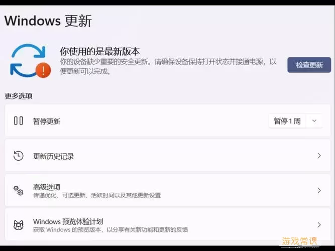 如何取消Windows 11更新暂停，解决点不了问题详细指南图3