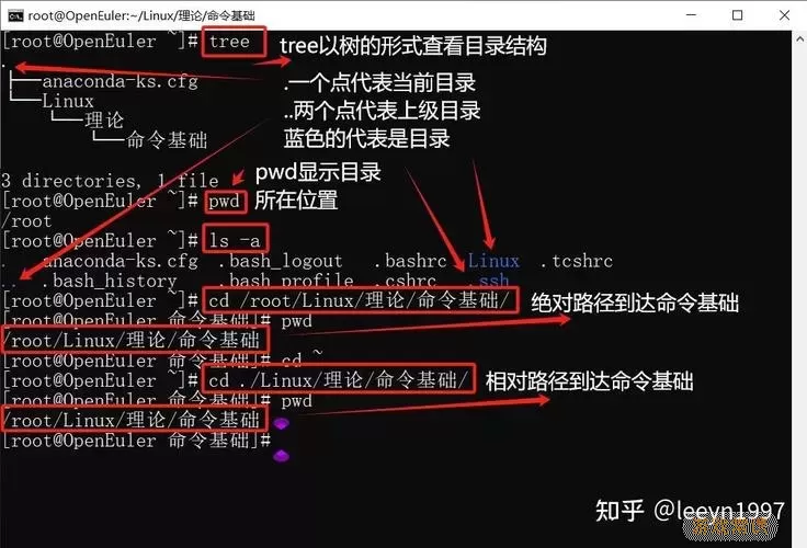 linux设置目录权限命令-linux文件目录权限设置命令图1