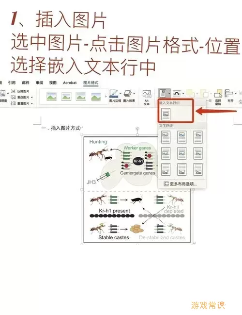 如何在Word中设置下一页内容在下方显示的操作步骤指南图1