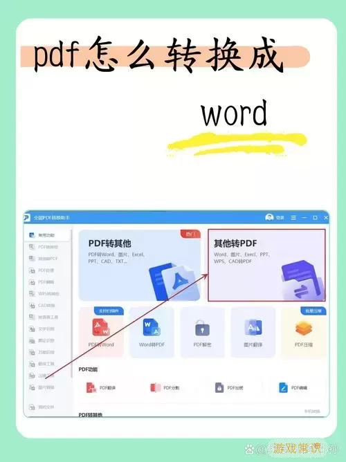 如何将PDF文件转换为Word文档的详细步骤与技巧图2