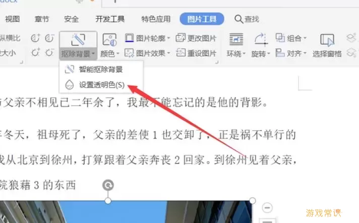 word2003图片背景变透明图3