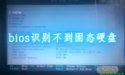 bios识别不到固态硬盘是坏了吗